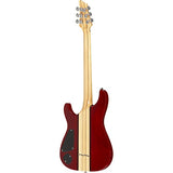Schecter / Hollywood Classic STR