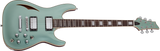 Schecter / C-1 E/A Classic
