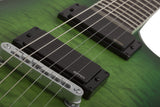 Schecter / C-1 Platinum (GC)
