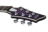 Schecter / C-1 Platinum (GC)