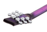 Schecter / C-1 Platinum (GC)