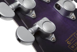 Schecter / C-1 Platinum (GC)