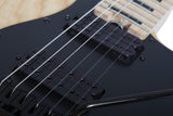 Schecter / Justin Beck Ani (Glassjaw 1993)