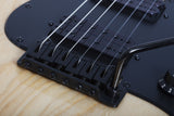 Schecter / Justin Beck Ani (Glassjaw 1993)