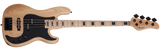 Schecter / Justin Beck V Ani (Glassjaw 1993)