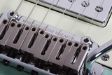 Schecter / Nick Johnston Traditional H/S/S (10th Anniversary)