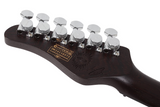 Schecter / Nick Johnston Traditional H/S/S (10th Anniversary)