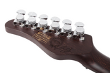 Schecter / Nick Johnston Traditional H/S/S (10th Anniversary)