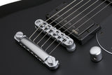 Schecter / S-II Platinum