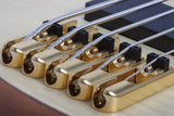 Schecter / Stiletto Custom-5