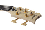 Schecter / Stiletto Custom-5