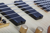 Schecter / Stiletto Custom-5