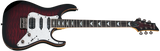 Schecter / Banshee-6 Extreme