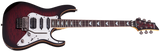 Schecter / Banshee-6 FR Extreme