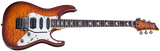 Schecter / Banshee-6 FR Extreme