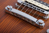 Schecter / C-1 E/A Classic