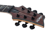 Schecter / C-1 Exotic (Ebony)