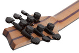 Schecter / C-1 Exotic (Ebony)