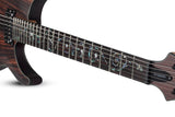 Schecter / C-1 Exotic (Ebony)