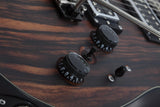 Schecter / C-1 Exotic (Ebony)