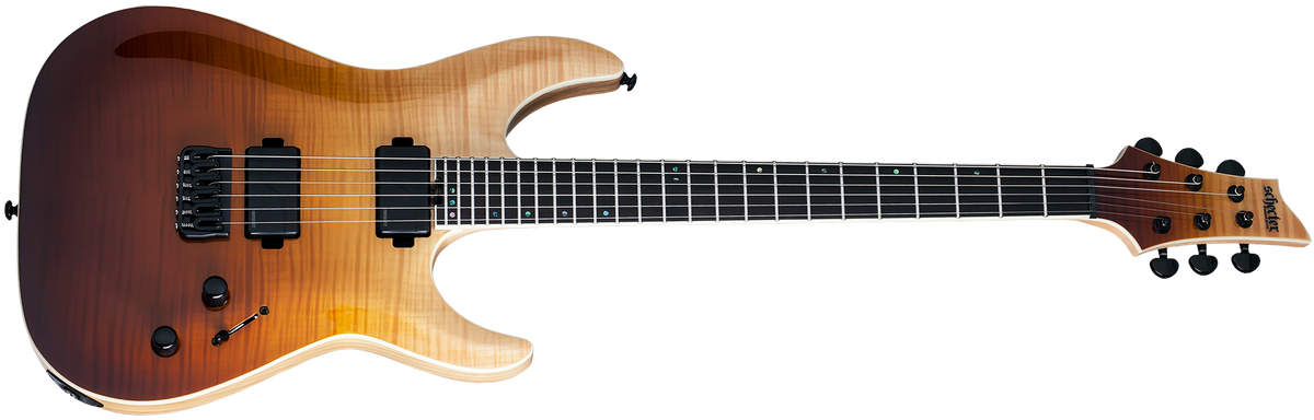 ギター SCHECTER C-1 ELITE Schecter C1 Elite Electric Guitar | zZounds