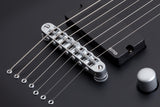 Schecter / Damien Platinum-7