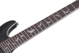 Schecter / Damien Platinum-7