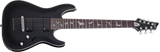 Schecter / Damien Platinum-7