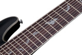 Schecter / Damien Platinum-9