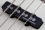 Schecter / Diamond-J Plus 4