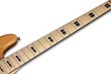 Schecter / Diamond-J Plus 5