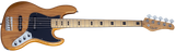 Schecter / Diamond-J Plus 5