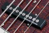 Schecter /  Diamond-J Plus 5