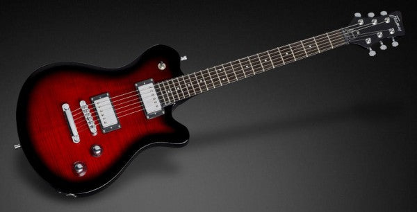 Framus D-Series / Panthera Supreme