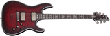 Schecter / Hellraiser Extreme C-1 E