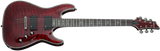 Schecter / Hellraiser C-1