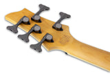 Schecter / Omen Extreme-5