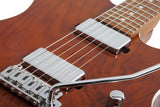 Schecter / PT Van Nuys