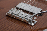 Schecter / PT Van Nuys