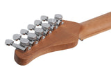 Schecter / PT Van Nuys