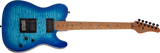 Schecter / PT Pro