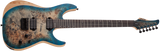Schecter / Reaper-6