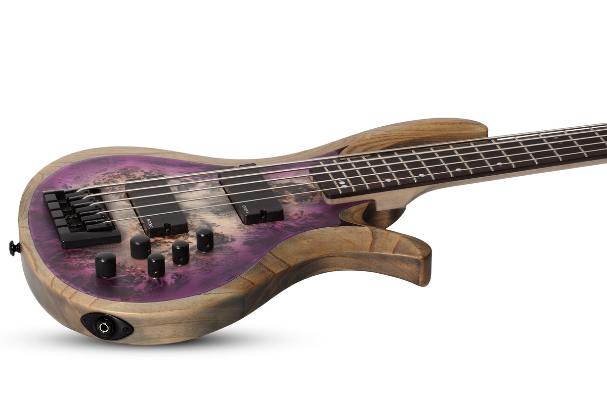 Schecter top riot 4