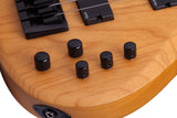 Schecter / Riot-4 Session