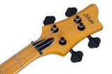 Schecter / Riot-4 Session