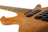 Schecter / Riot-4 Session