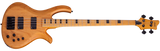 Schecter / Riot-4 Session