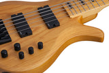 Schecter / Riot-5 Session