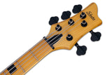 Schecter / Riot-5 Session