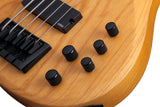 Schecter / Riot-5 Session